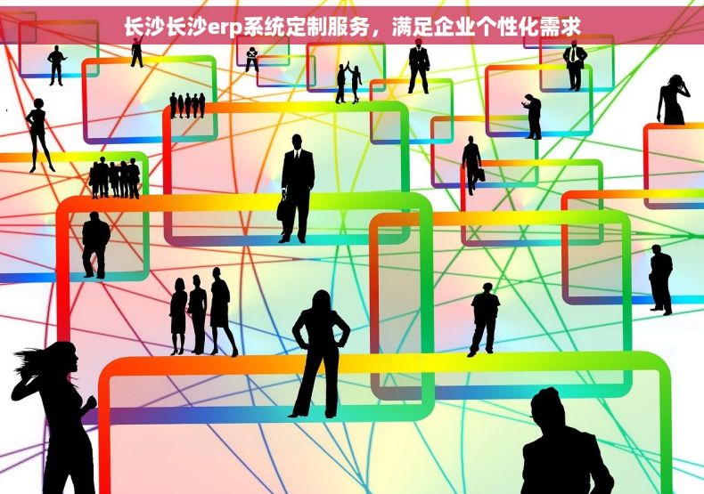 长沙长沙erp系统定制服务，满足企业个性化需求
