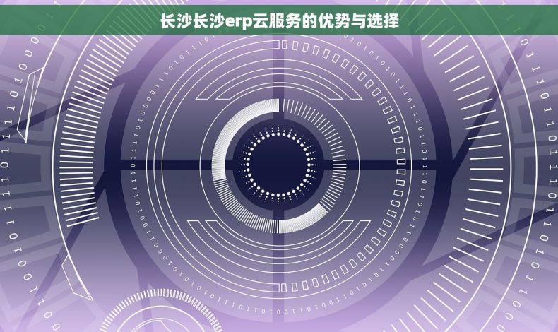 长沙长沙erp云服务的优势与选择