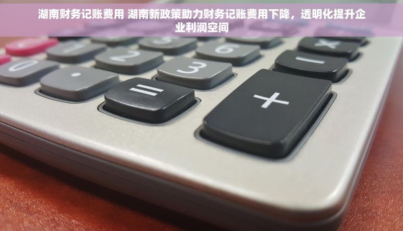 湖南财务记账费用 湖南新政策助力财务记账费用下降，透明化提升企业利润空间