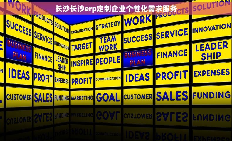 长沙长沙erp定制企业个性化需求服务