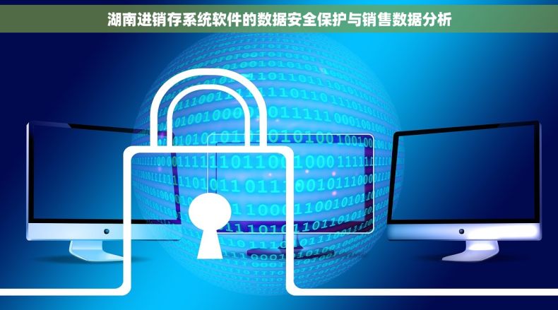 湖南进销存系统软件的数据安全保护与销售数据分析