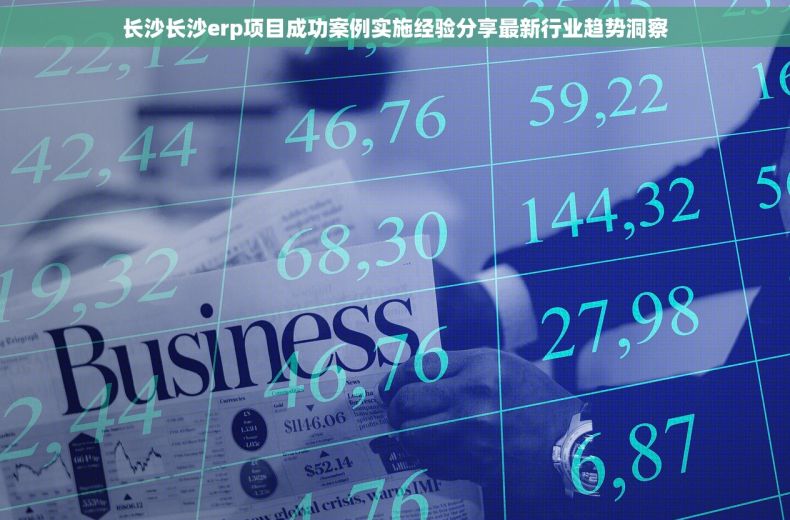 长沙长沙erp项目成功案例实施经验分享最新行业趋势洞察