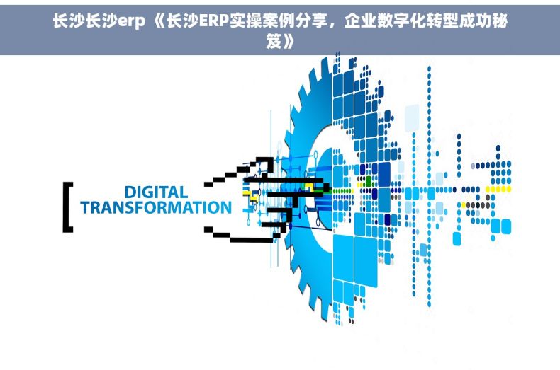 长沙长沙erp 《长沙ERP实操案例分享，企业数字化转型成功秘笈》