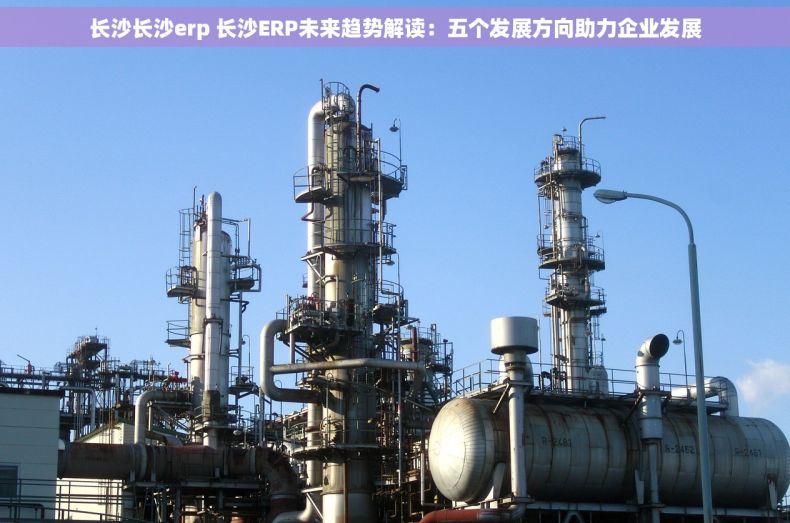 长沙长沙erp 长沙ERP未来趋势解读：五个发展方向助力企业发展