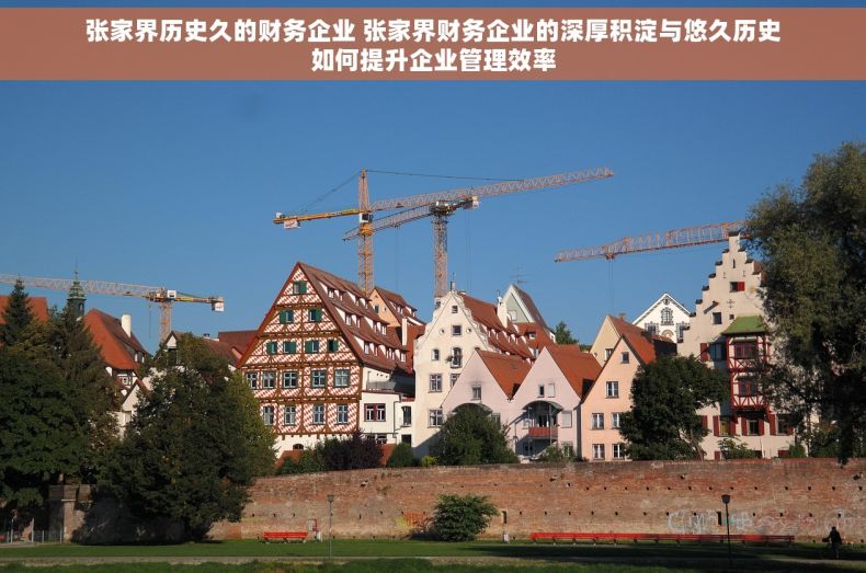 张家界历史久的财务企业 张家界财务企业的深厚积淀与悠久历史如何提升企业管理效率