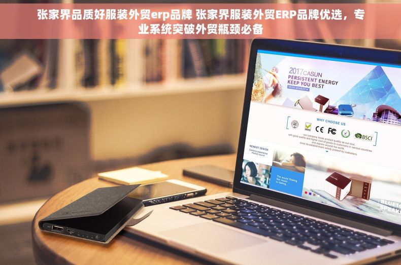 张家界品质好服装外贸erp品牌 张家界服装外贸ERP品牌优选，专业系统突破外贸瓶颈必备