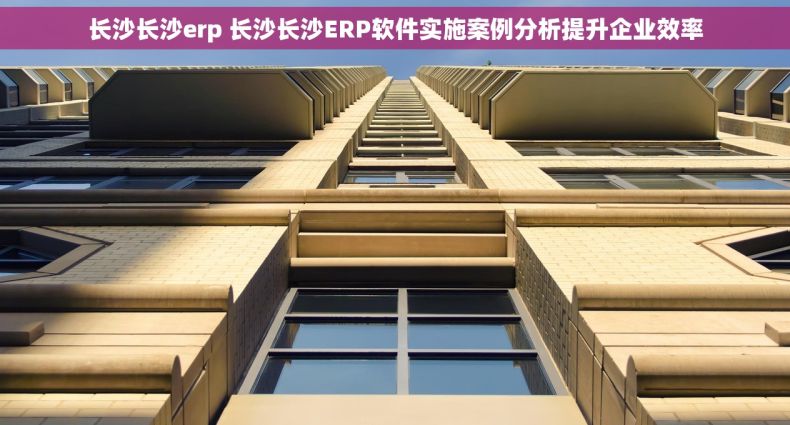 长沙长沙erp 长沙长沙ERP软件实施案例分析提升企业效率