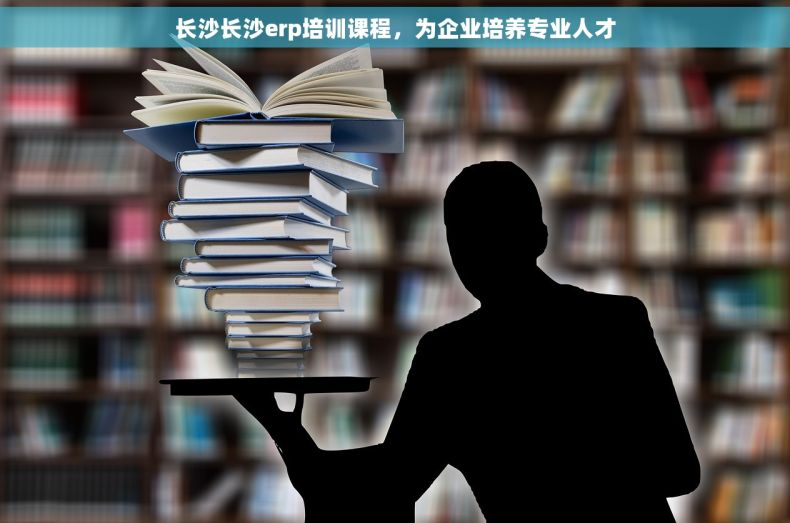 长沙长沙erp培训课程，为企业培养专业人才