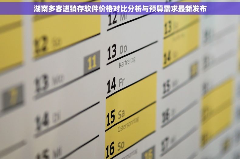 湖南多客进销存软件价格对比分析与预算需求最新发布