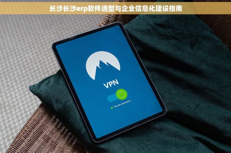 长沙长沙erp软件选型与企业信息化建设指南
