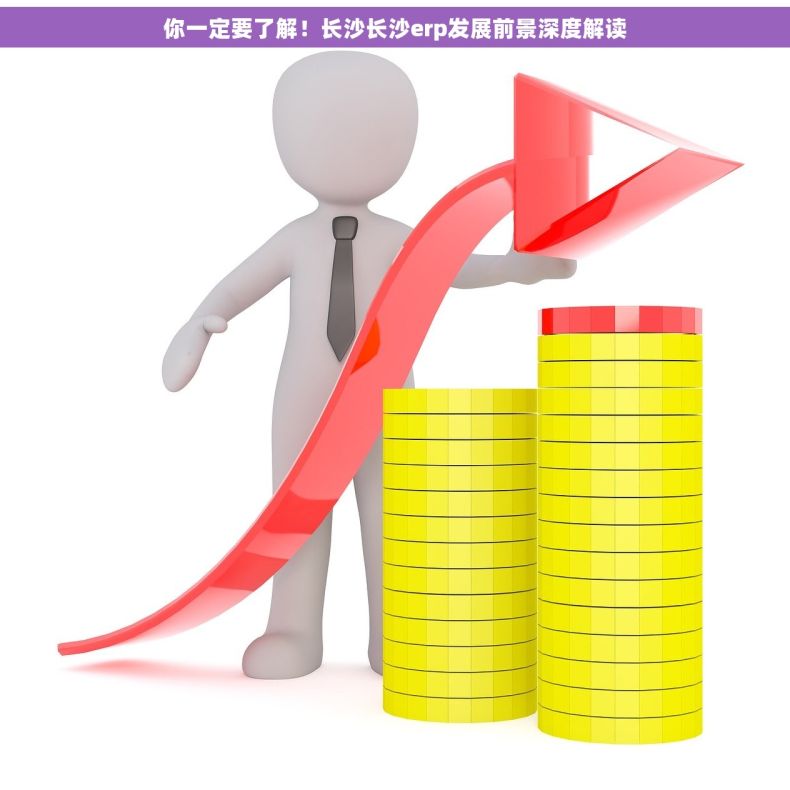 你一定要了解！长沙长沙erp发展前景深度解读