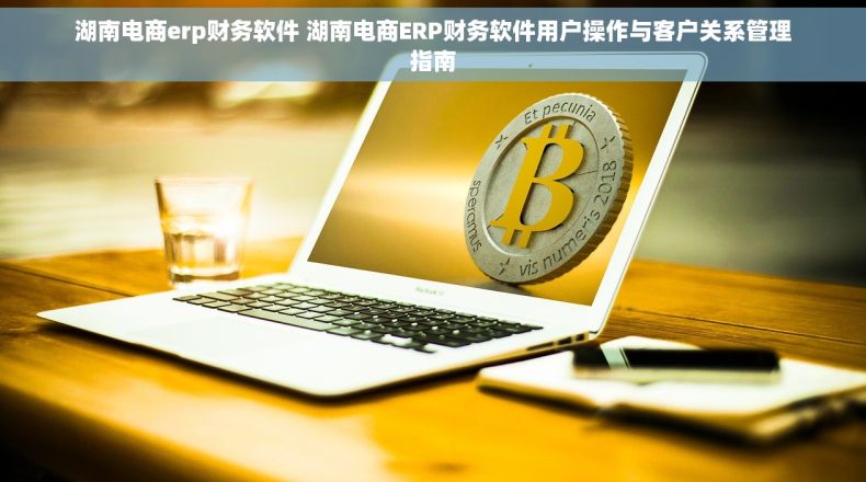 湖南电商erp财务软件 湖南电商ERP财务软件用户操作与客户关系管理指南