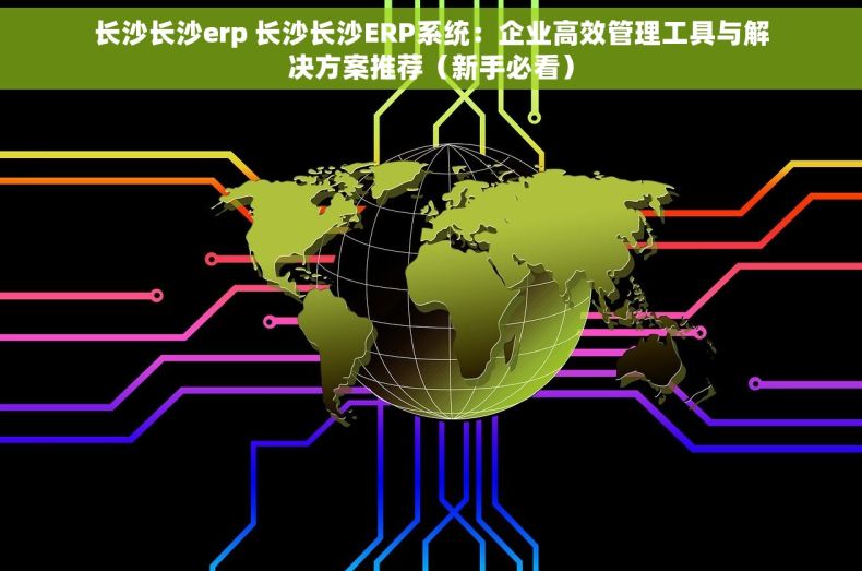 长沙长沙erp 长沙长沙ERP系统：企业高效管理工具与解决方案推荐（新手必看）