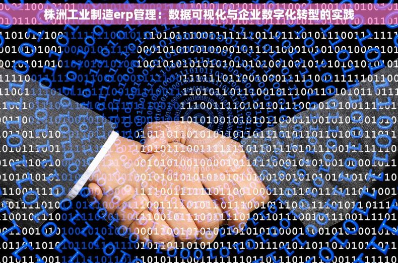 株洲工业制造erp管理：数据可视化与企业数字化转型的实践