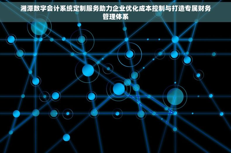 湘潭数字会计系统定制服务助力企业优化成本控制与打造专属财务管理体系