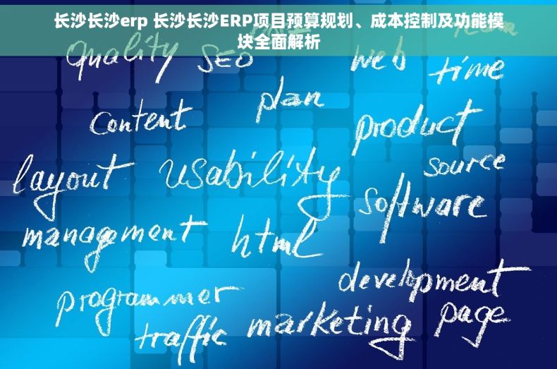长沙长沙erp 长沙长沙ERP项目预算规划、成本控制及功能模块全面解析