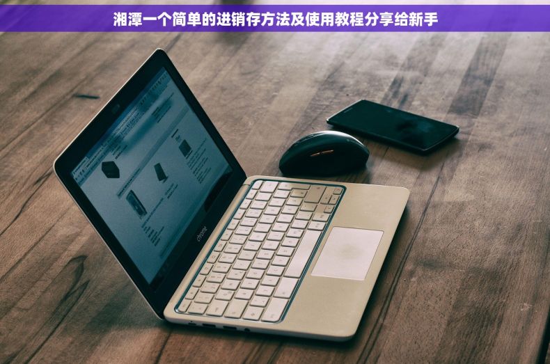 湘潭一个简单的进销存方法及使用教程分享给新手