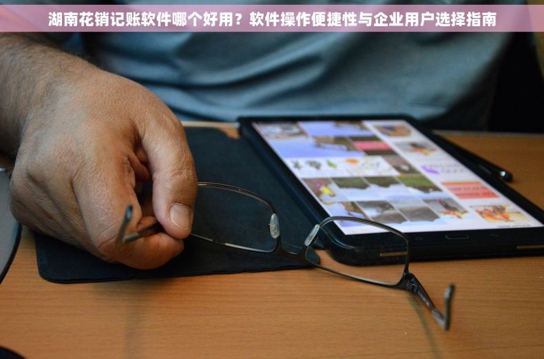湖南花销记账软件哪个好用？软件操作便捷性与企业用户选择指南