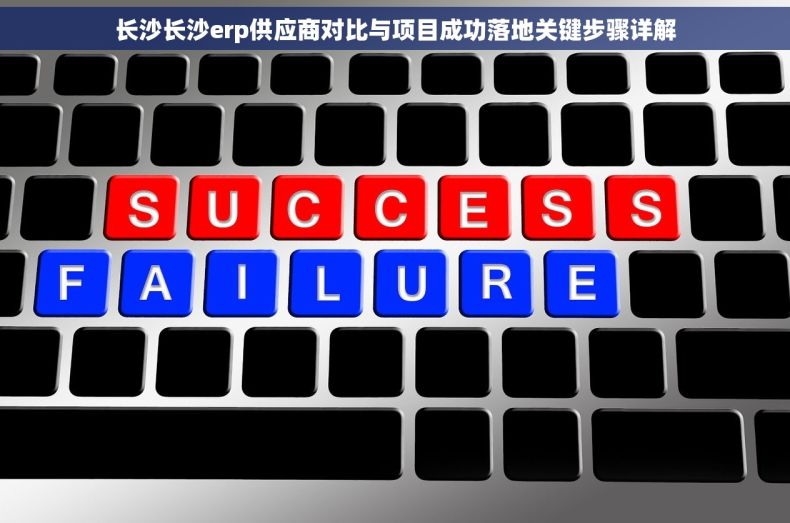 长沙长沙erp供应商对比与项目成功落地关键步骤详解