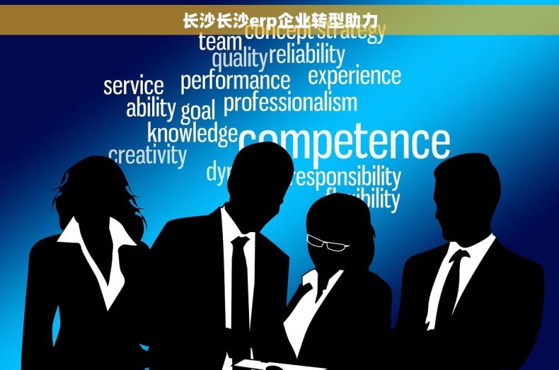 长沙长沙erp企业转型助力