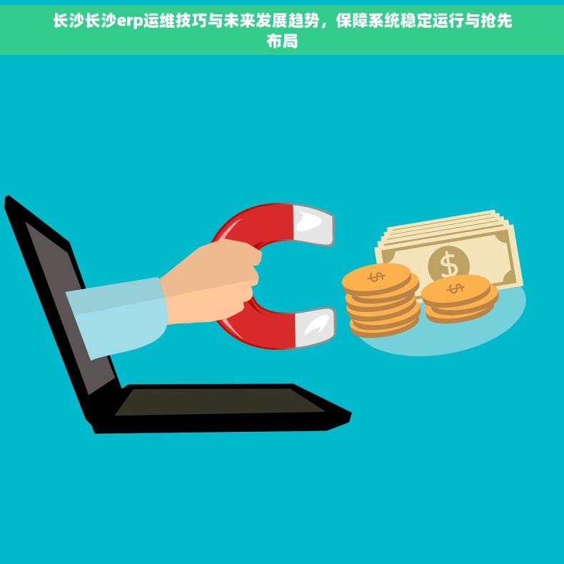 长沙长沙erp运维技巧与未来发展趋势，保障系统稳定运行与抢先布局