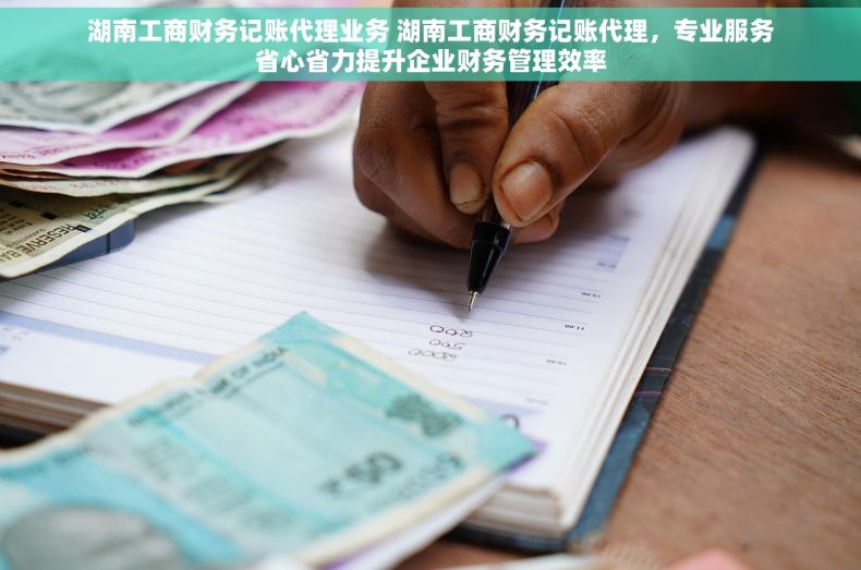 湖南工商财务记账代理业务 湖南工商财务记账代理，专业服务省心省力提升企业财务管理效率
