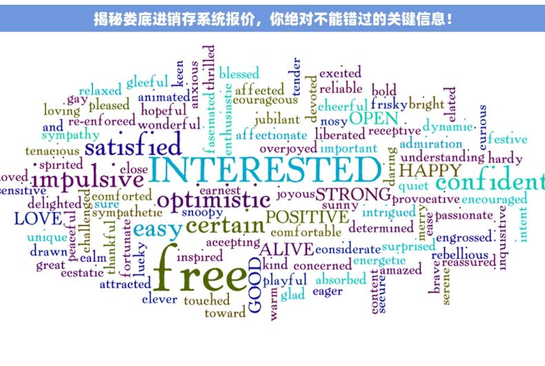 揭秘娄底进销存系统报价，你绝对不能错过的关键信息！