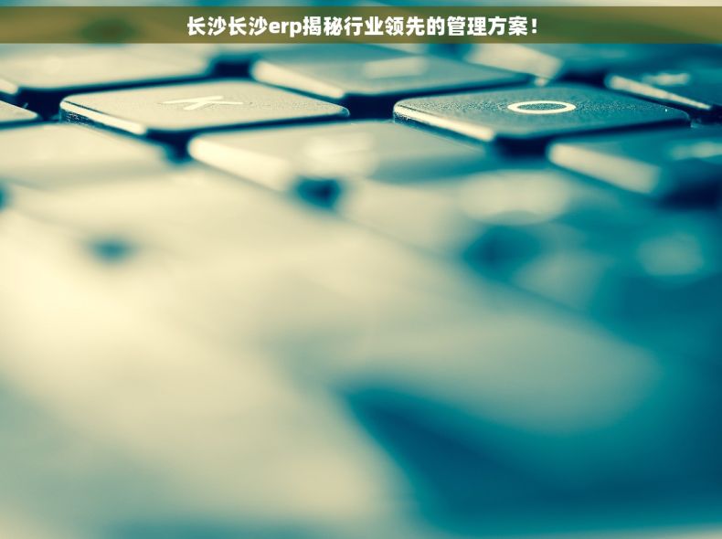 长沙长沙erp揭秘行业领先的管理方案！