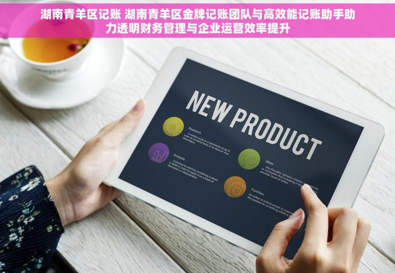 湖南青羊区记账 湖南青羊区金牌记账团队与高效能记账助手助力透明财务管理与企业运营效率提升