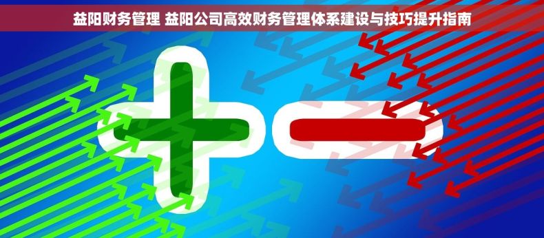 益阳财务管理 益阳公司高效财务管理体系建设与技巧提升指南