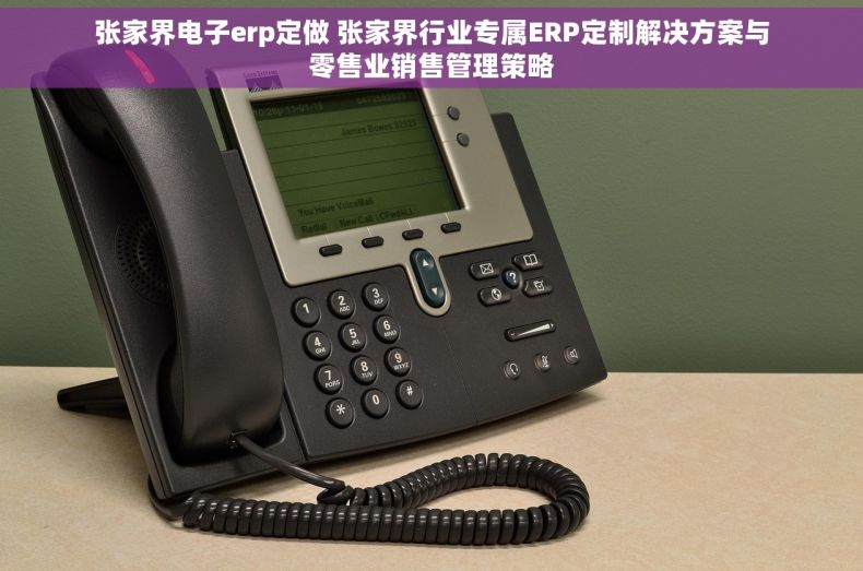 张家界电子erp定做 张家界行业专属ERP定制解决方案与零售业销售管理策略