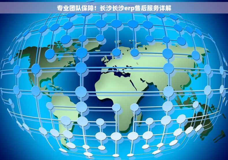 专业团队保障！长沙长沙erp售后服务详解