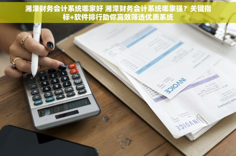 湘潭财务会计系统哪家好 湘潭财务会计系统哪家强？关键指标+软件排行助你高效筛选优质系统