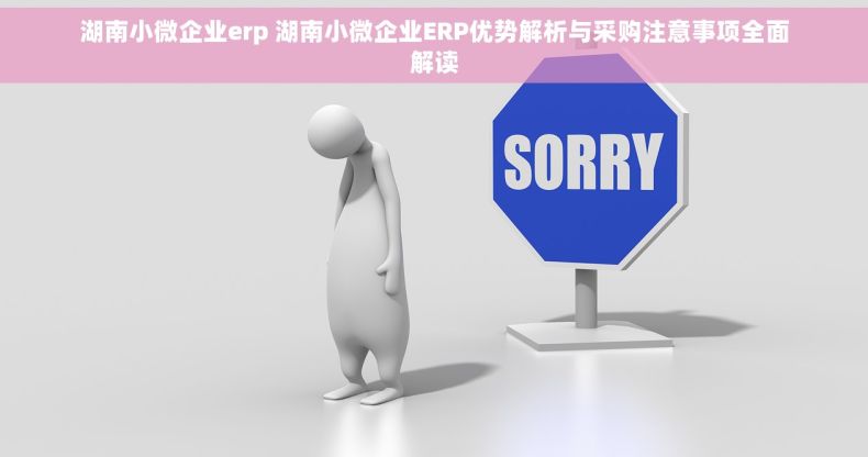 湖南小微企业erp 湖南小微企业ERP优势解析与采购注意事项全面解读