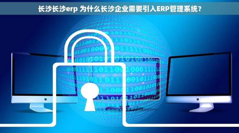 长沙长沙erp 为什么长沙企业需要引入ERP管理系统？