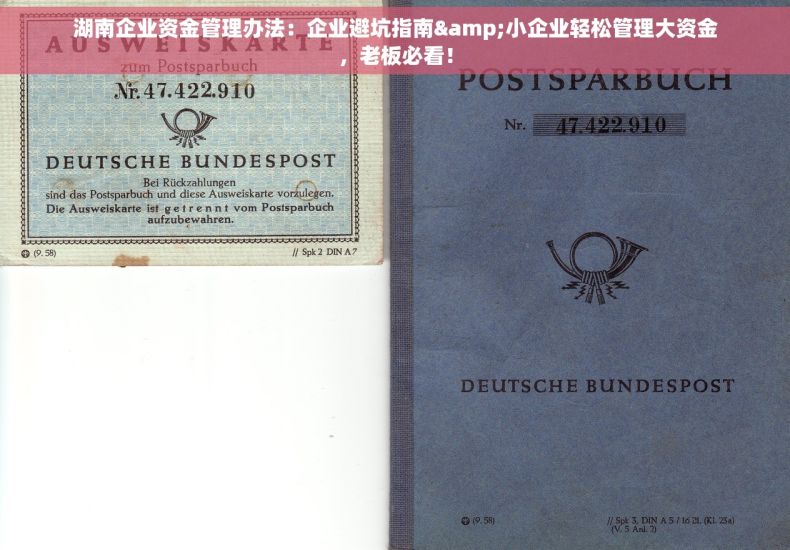 湖南企业资金管理办法：企业避坑指南&小企业轻松管理大资金，老板必看！