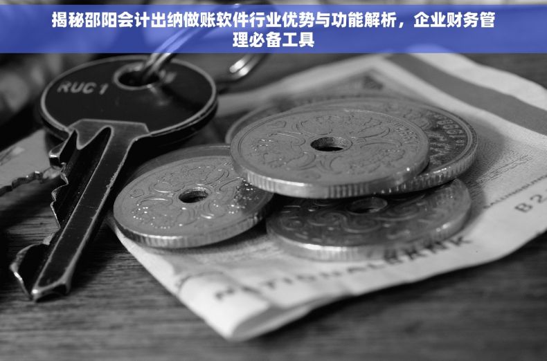 揭秘邵阳会计出纳做账软件行业优势与功能解析，企业财务管理必备工具