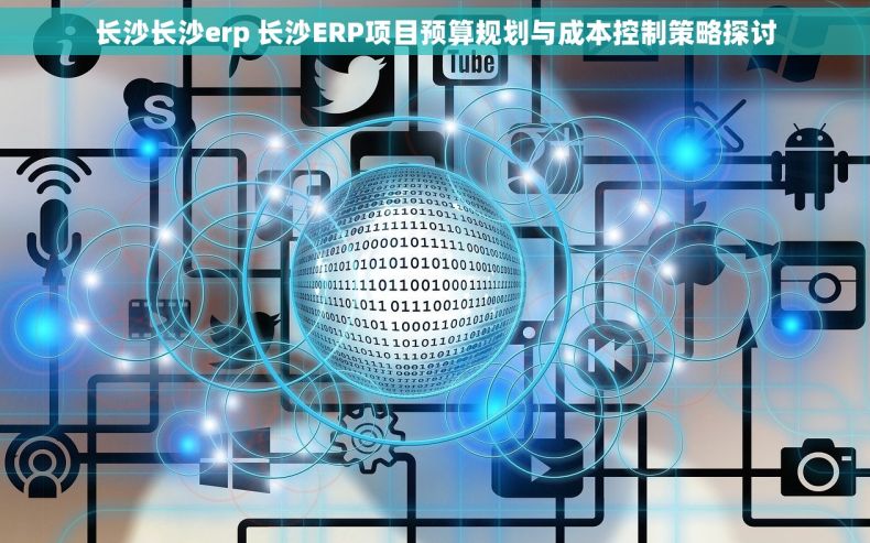 长沙长沙erp 长沙ERP项目预算规划与成本控制策略探讨
