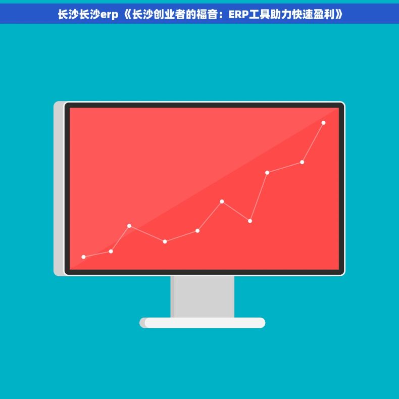 长沙长沙erp 《长沙创业者的福音：ERP工具助力快速盈利》