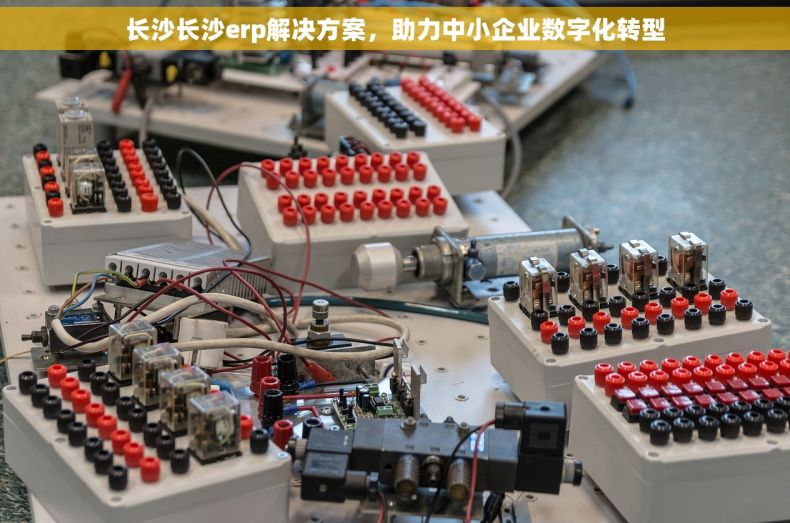 长沙长沙erp解决方案，助力中小企业数字化转型