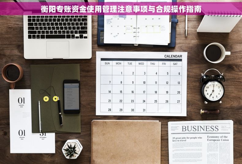 衡阳专账资金使用管理注意事项与合规操作指南