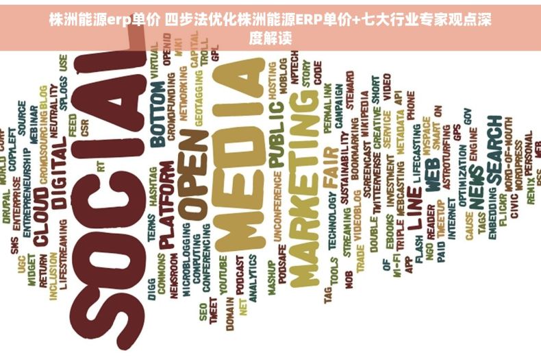 株洲能源erp单价 四步法优化株洲能源ERP单价+七大行业专家观点深度解读