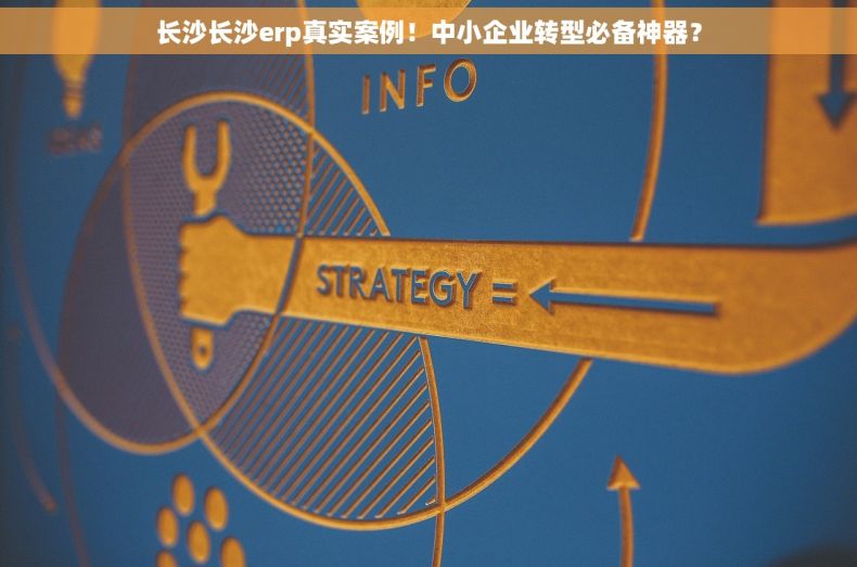 长沙长沙erp真实案例！中小企业转型必备神器？