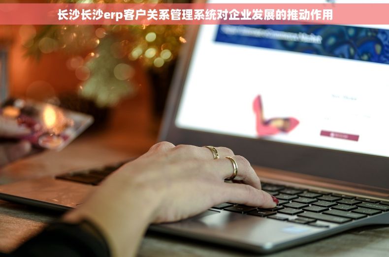 长沙长沙erp客户关系管理系统对企业发展的推动作用