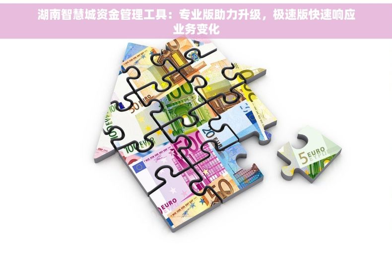 湖南智慧城资金管理工具：专业版助力升级，极速版快速响应业务变化
