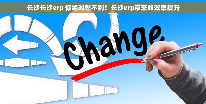 长沙长沙erp 你绝对想不到！长沙erp带来的效率提升