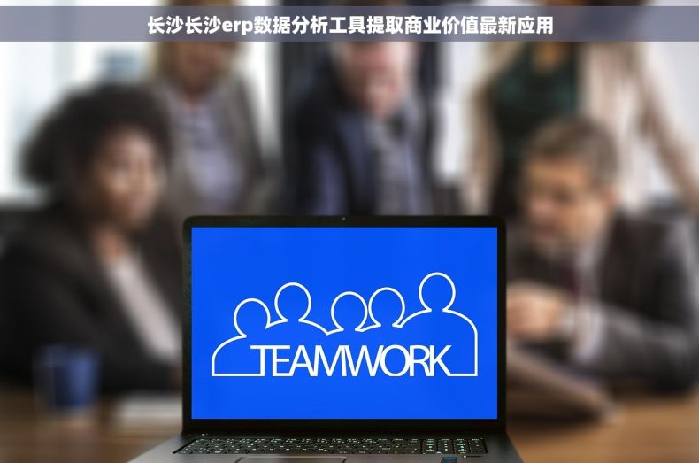 长沙长沙erp数据分析工具提取商业价值最新应用