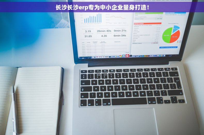 长沙长沙erp专为中小企业量身打造！
