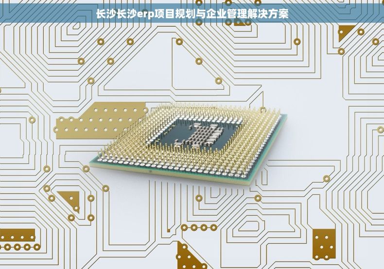 长沙长沙erp项目规划与企业管理解决方案