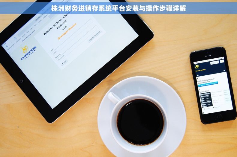 株洲财务进销存系统平台安装与操作步骤详解